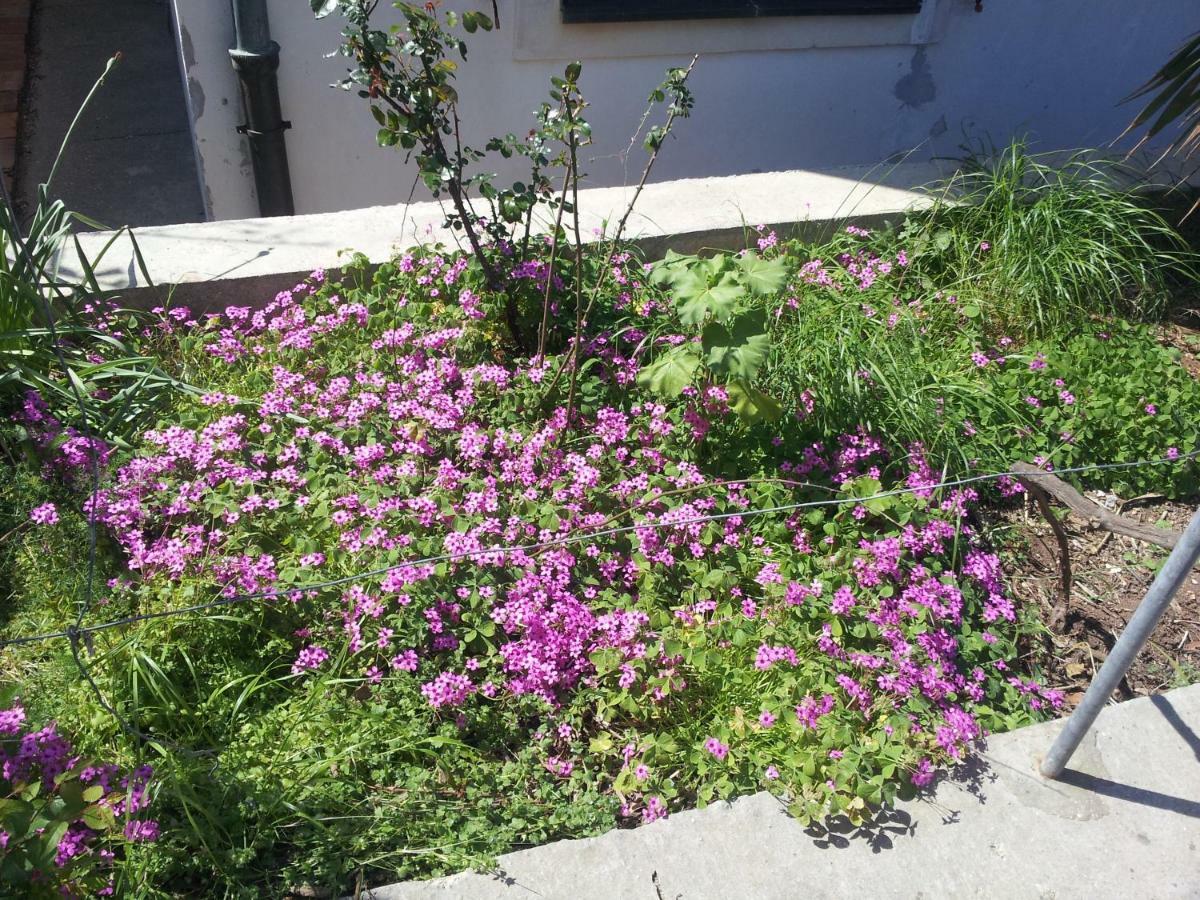 Apartman Sabljak Mali Lošinj Exterior foto